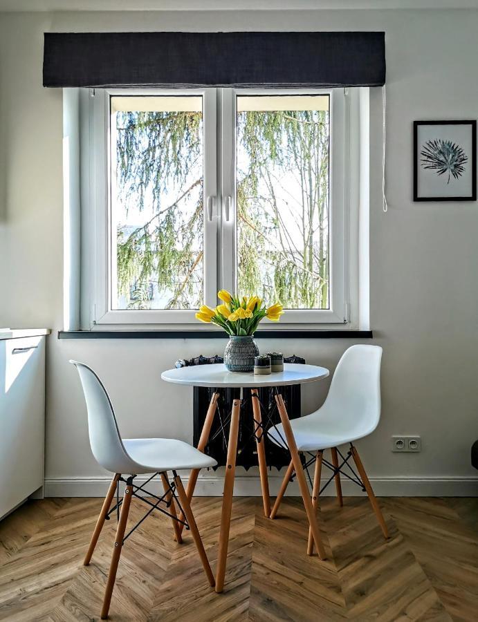 Przytulny Apartament Przy Sokolskiej - 550 Metrow Od Spodka Katowice Extérieur photo